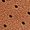 Textura