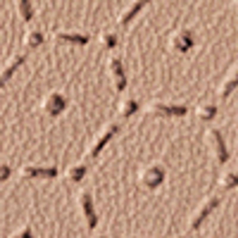 nude_textura