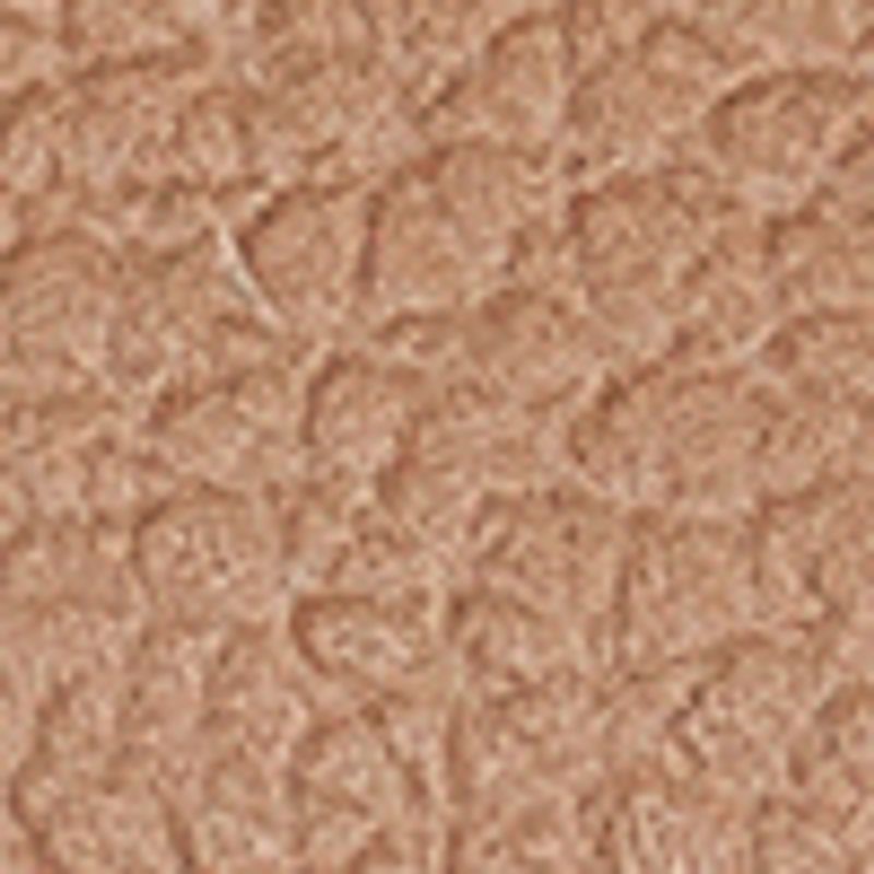camel_textura