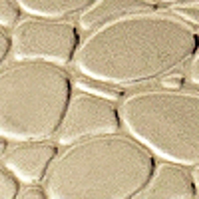 dorado_textura