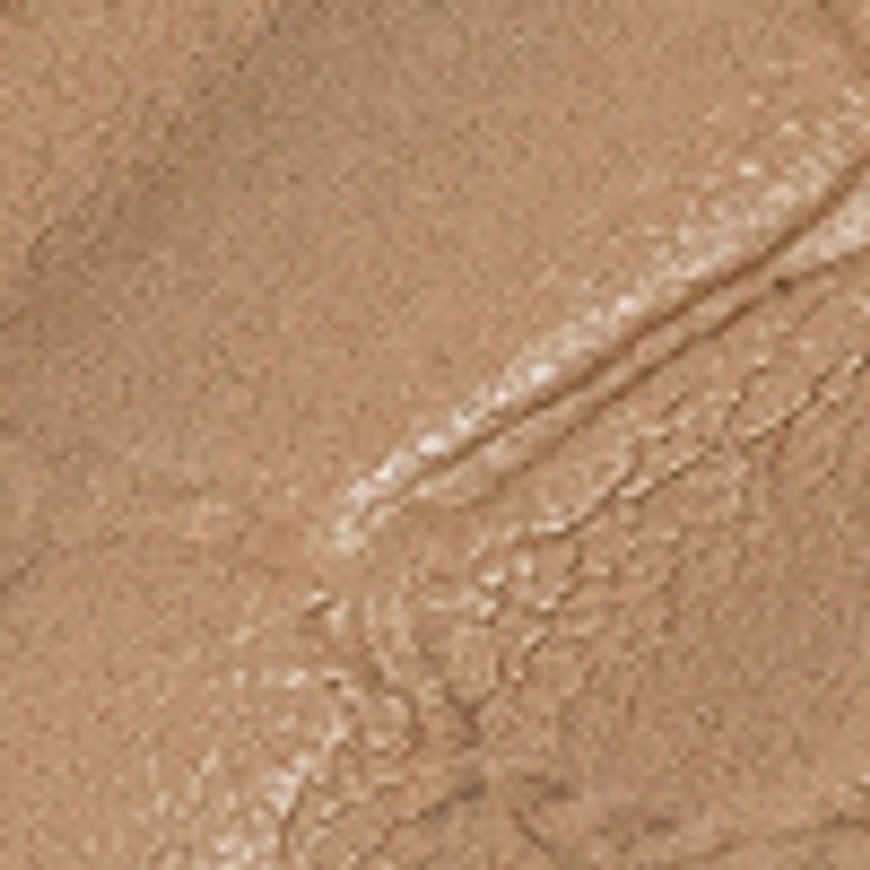 camel_textura