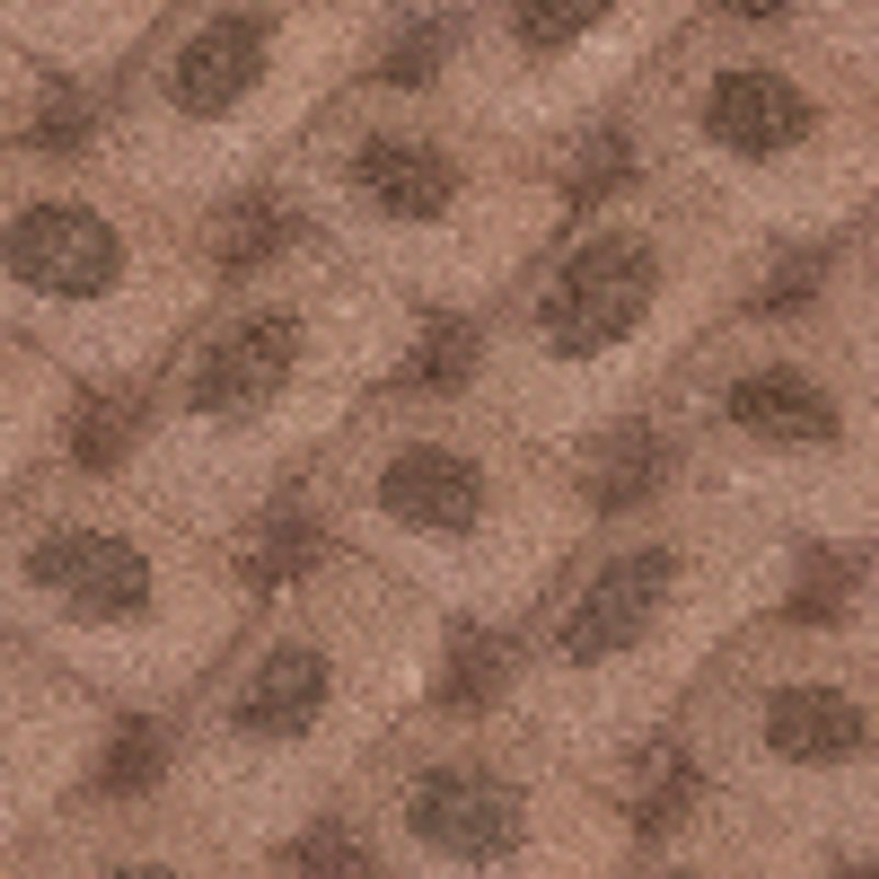camel_textura