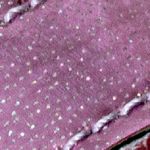 rosado_textura
