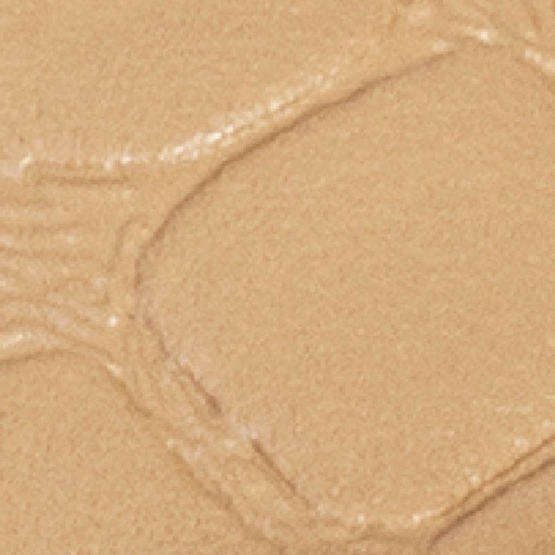 camel_textura