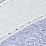 blanco-lila_textura