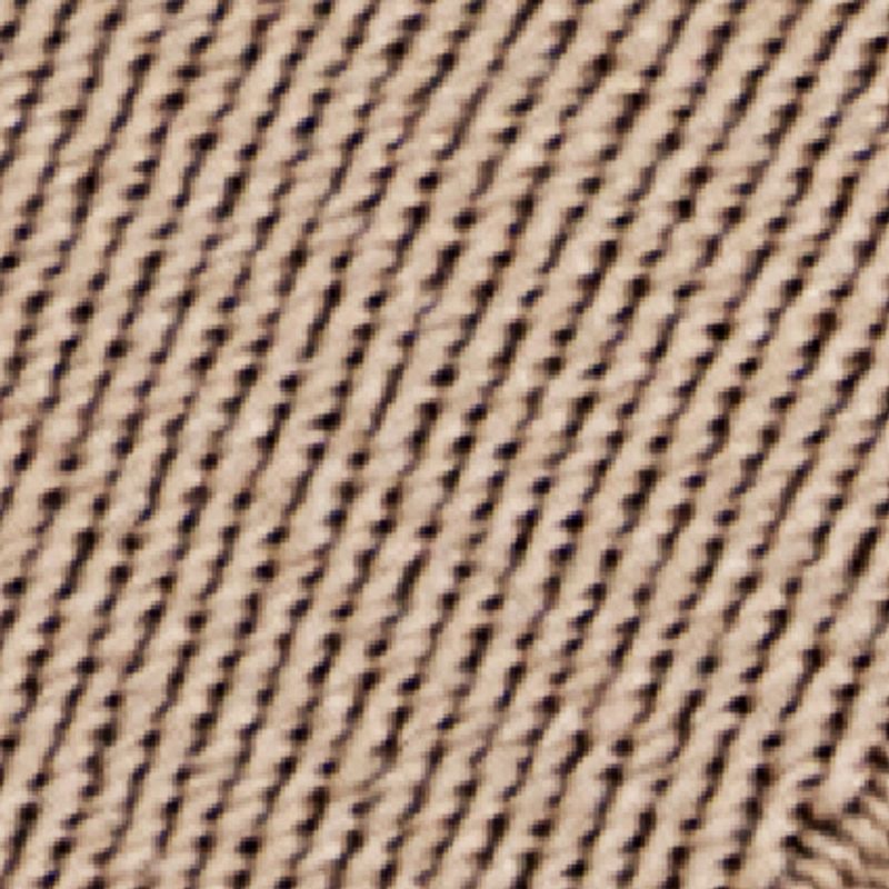 camel_textura