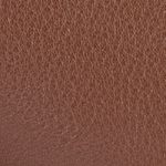 camel_textura