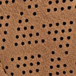 camel_textura