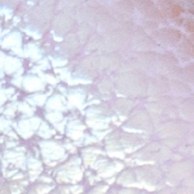 lila_textura