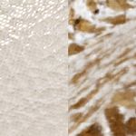 nude-dorado_textura