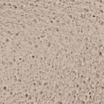 beige-rosado_textura