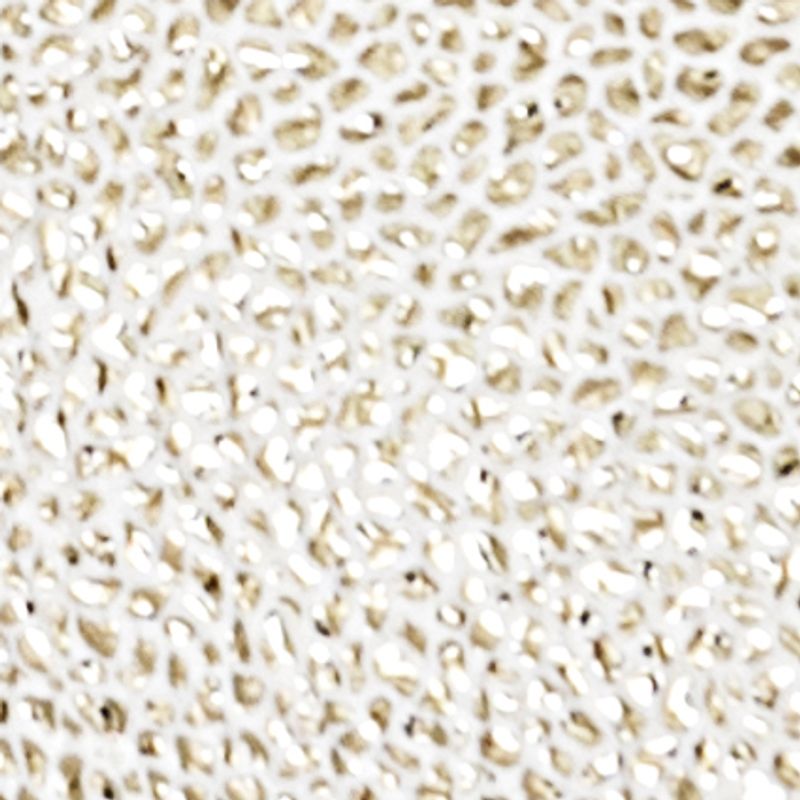champaña_textura