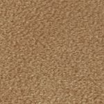 camel_textura