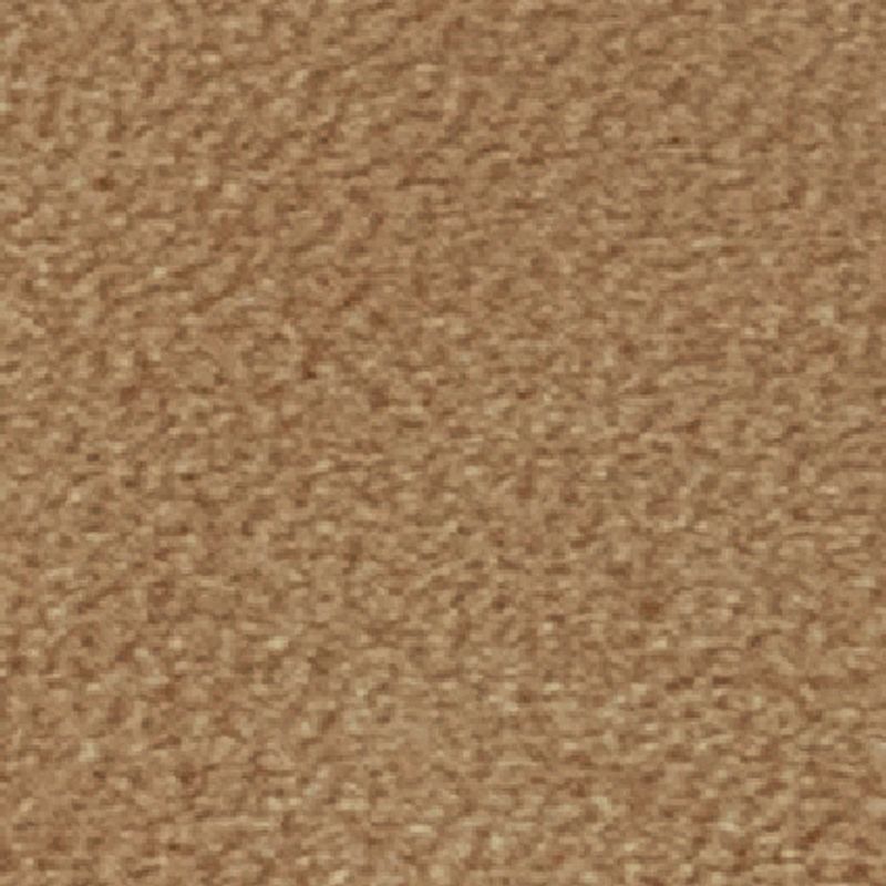 camel_textura