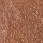 camel_textura