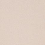 beige_textura