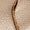 Textura