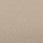 camel_textura