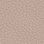 taupe_textura