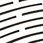 blanco_textura