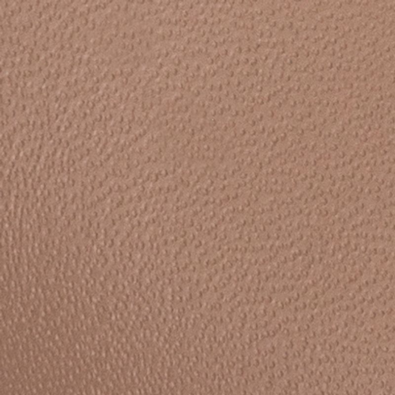 camel_textura