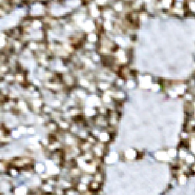 dorado_textura