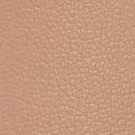 camel_textura