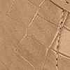 tan_textura