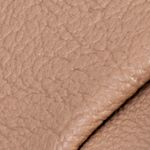 camel_textura