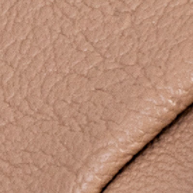 camel_textura
