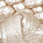 champaña_textura