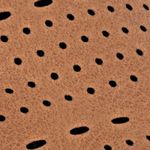 camel_textura