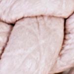 nude_textura