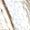 Textura