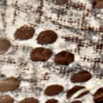 piton_textura
