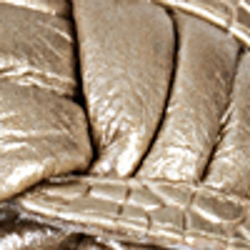 champaña_textura