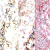 tres_oros_textura