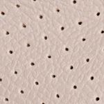 nude_textura