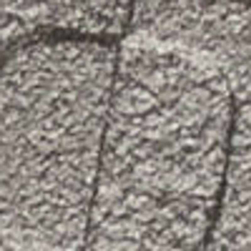 plata_textura