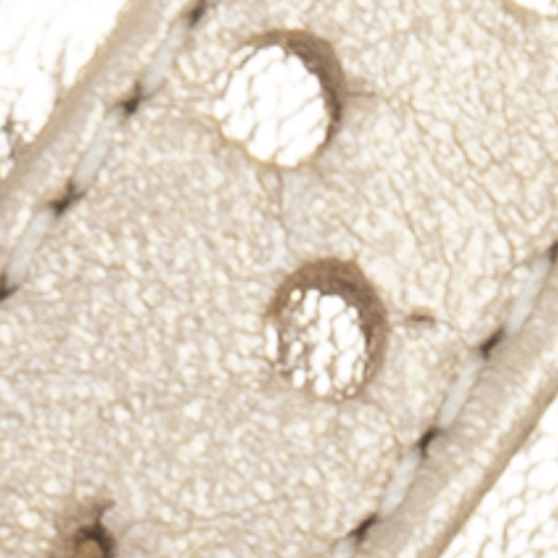 champaña_textura