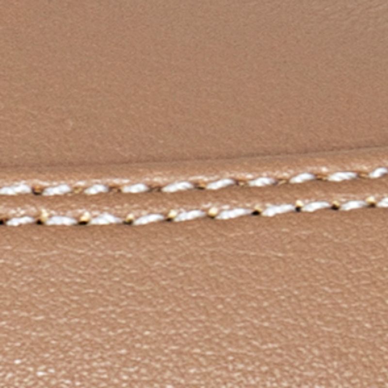 camel_textura