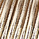dorado_textura