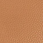 camel_textura