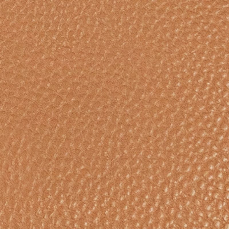 camel_textura