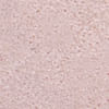 nude_textura