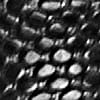 negro_textura