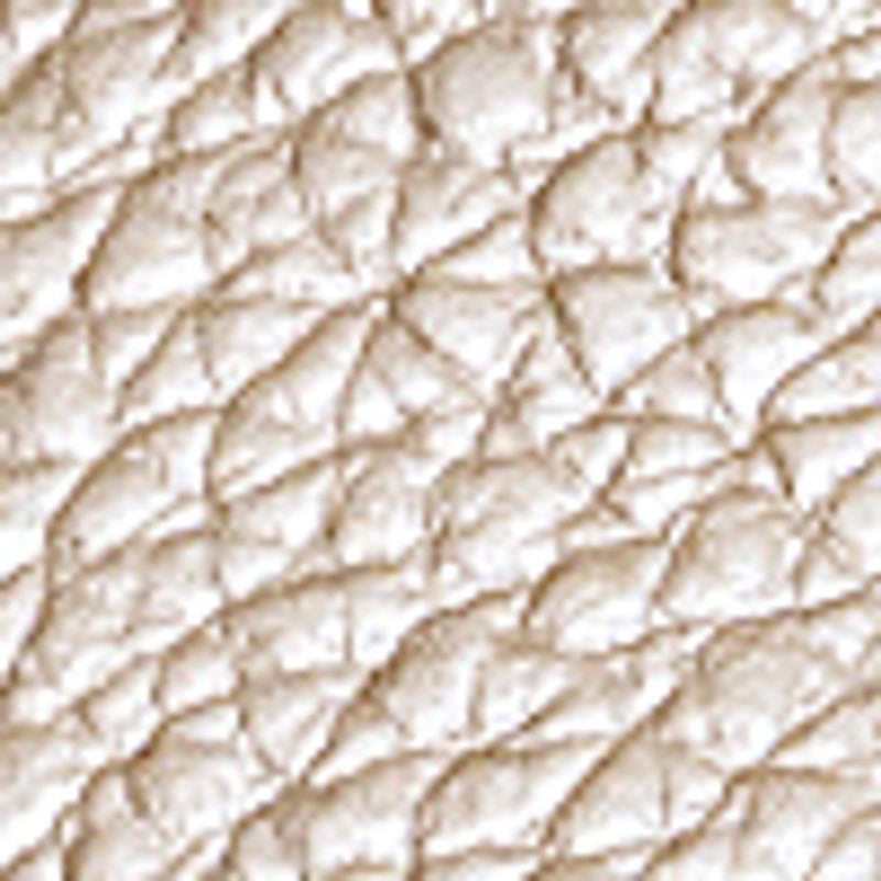 champaña_textura