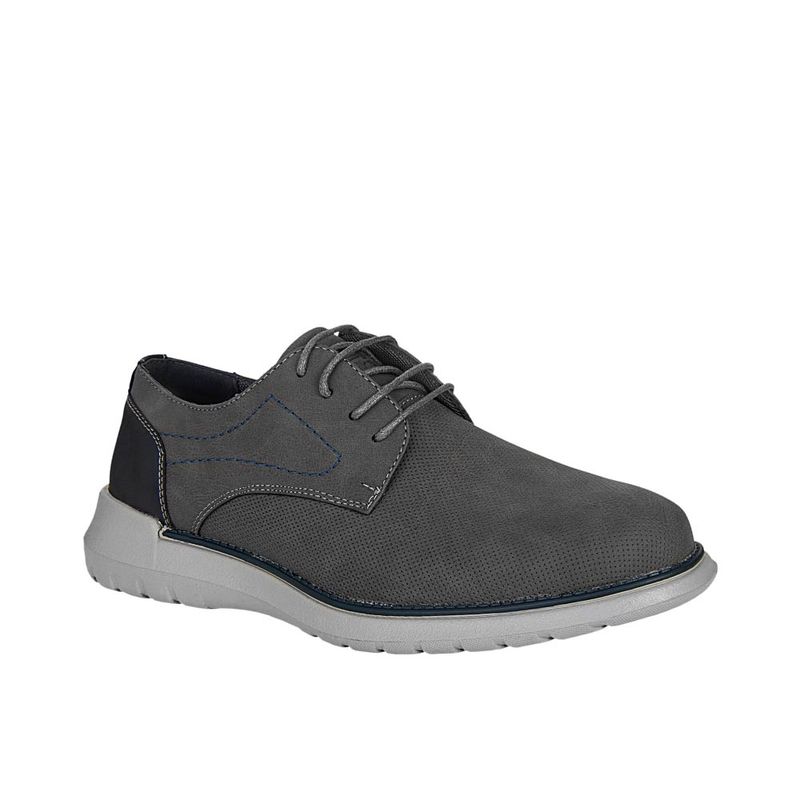 113100070_gris_01