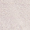 nude_textura