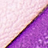 rosado-morado_textura